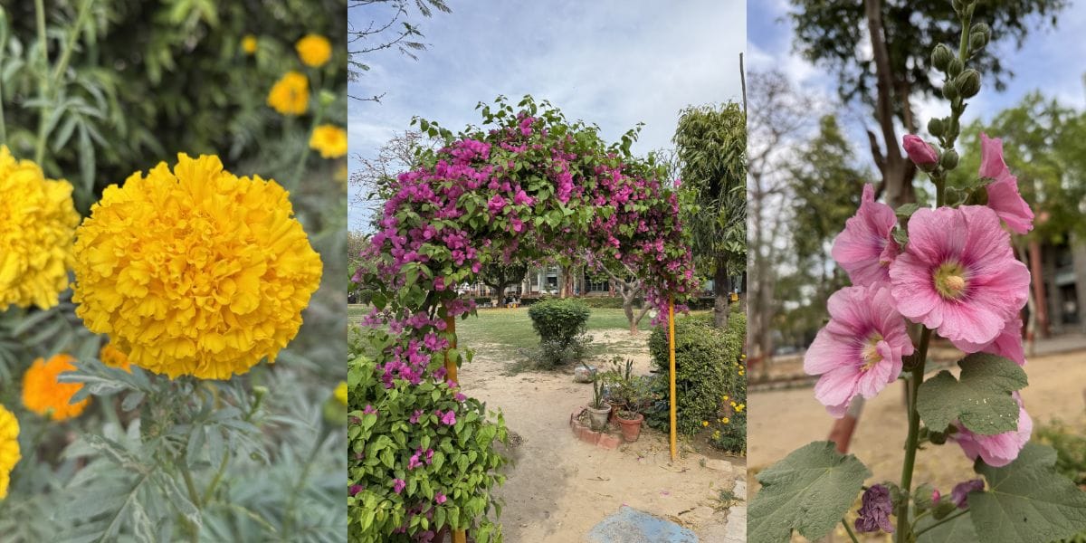 Apple iPhone 15 Pro camera sample