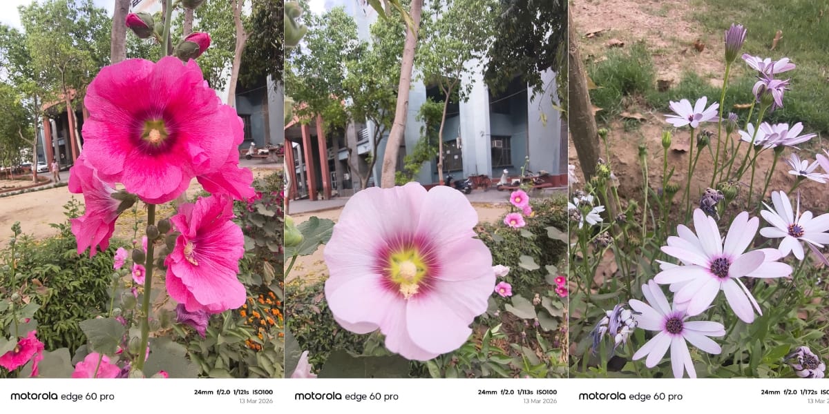 Motorola Edge 60 Pro camera sample