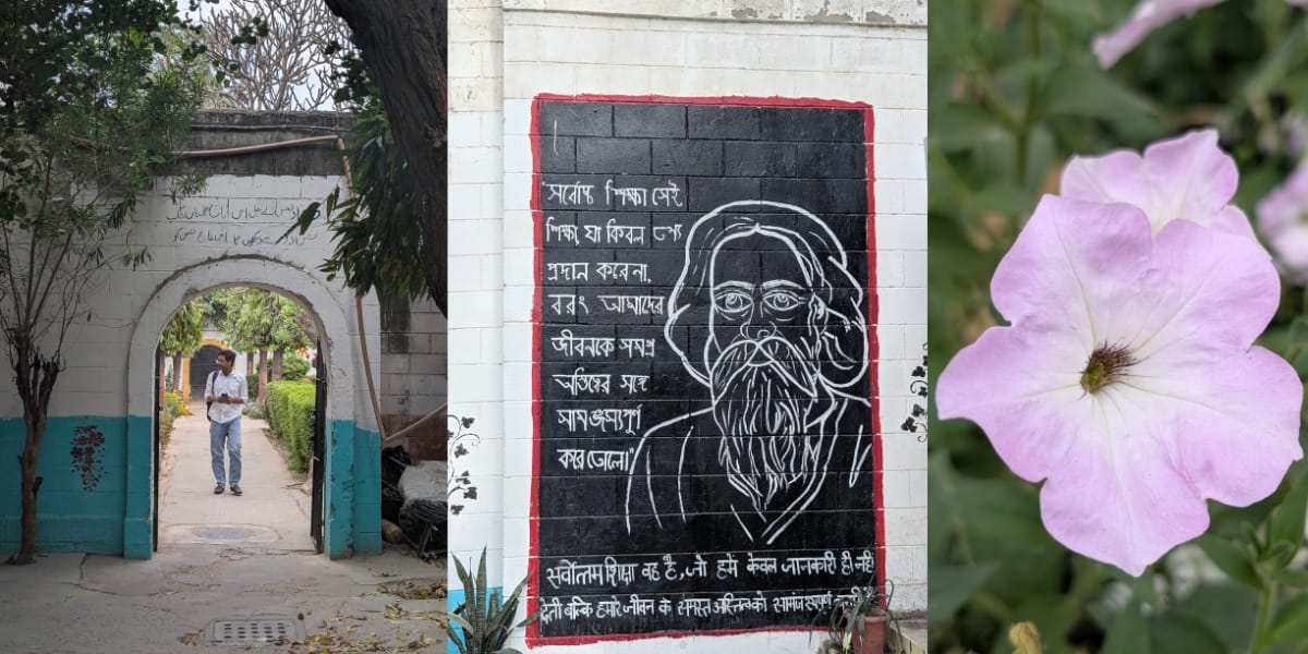 Google Pixel 9 Pro camera sample