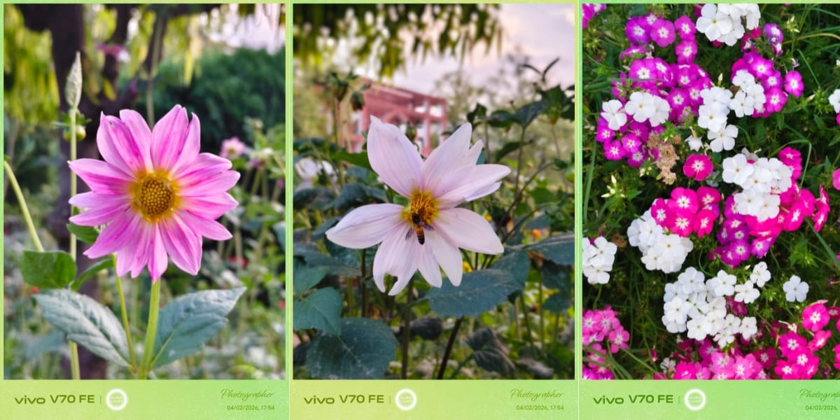 Vivo V70 FE camera samples