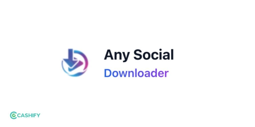 TheSocialCat Instagram Reels Downloader