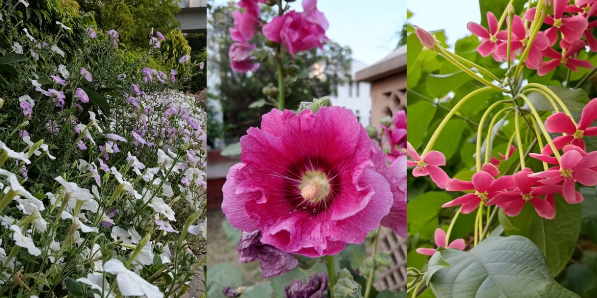 REDMI 15c 5G camera sample