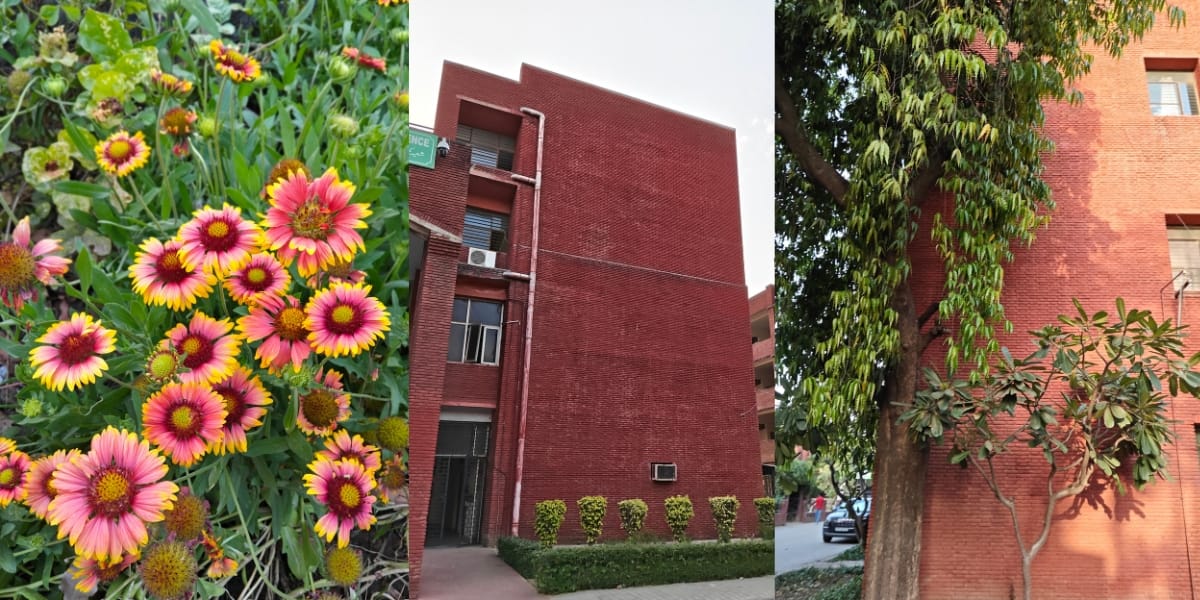 Xiaomi Pad 8 camera sample