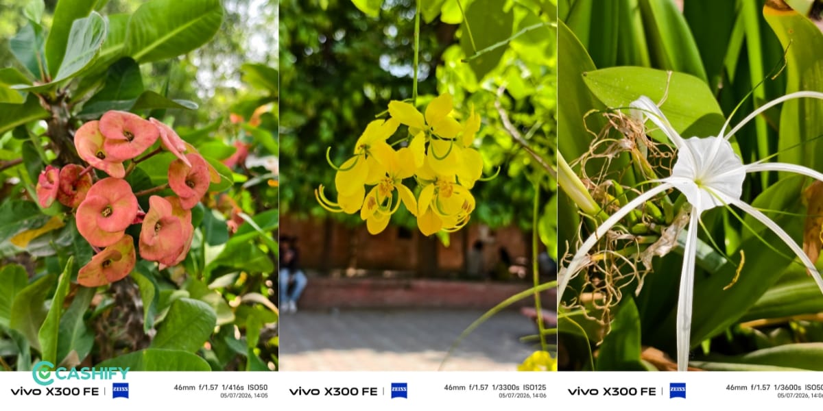 camera sample