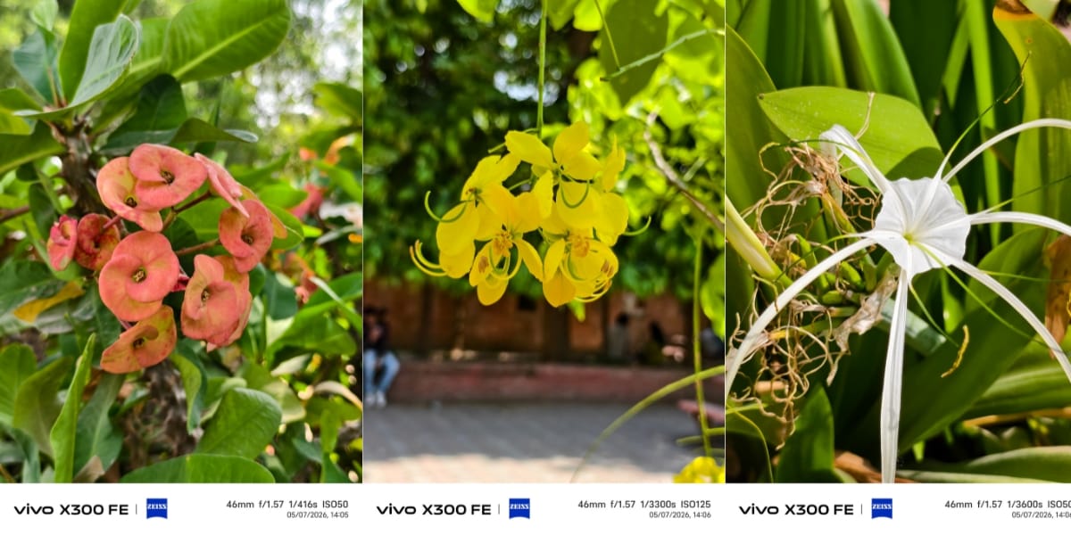 camera sample