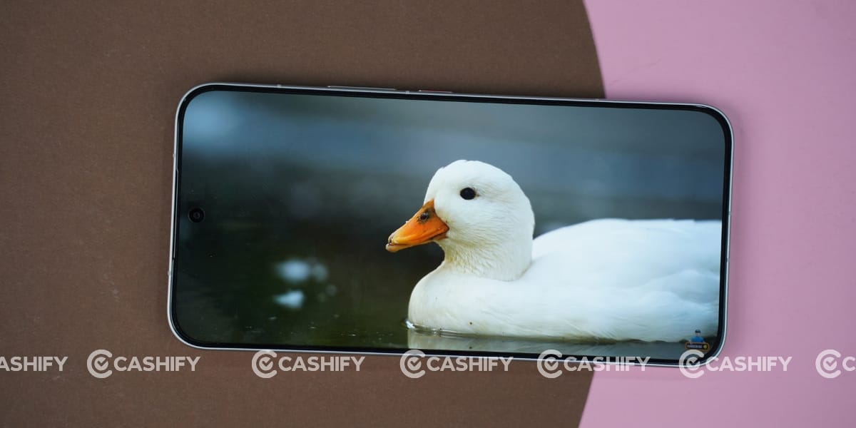 Poco X8 Pro Max display