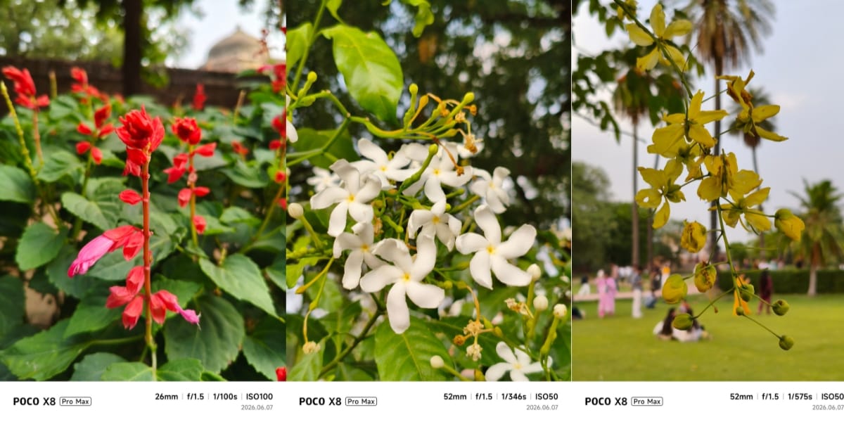 Poco X8 pro Max camera sample