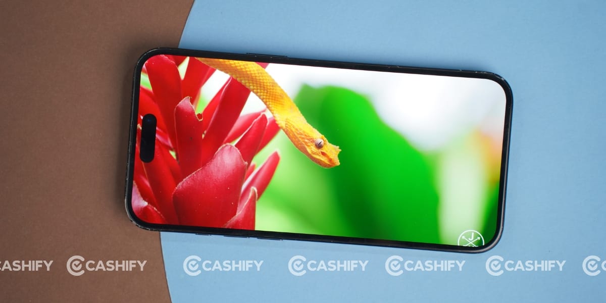 Apple iPhone 16 Plus Long Term Review display