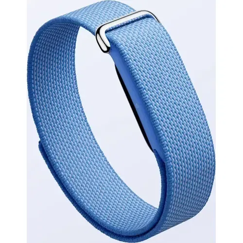 Google Fitbit Air Front