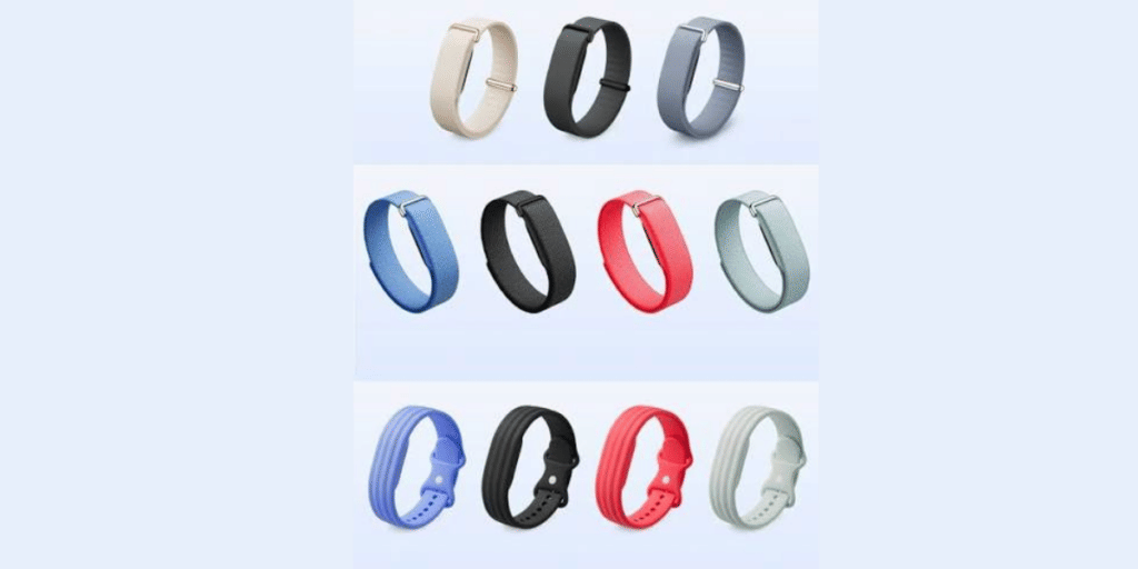 Fitbit Air Launch