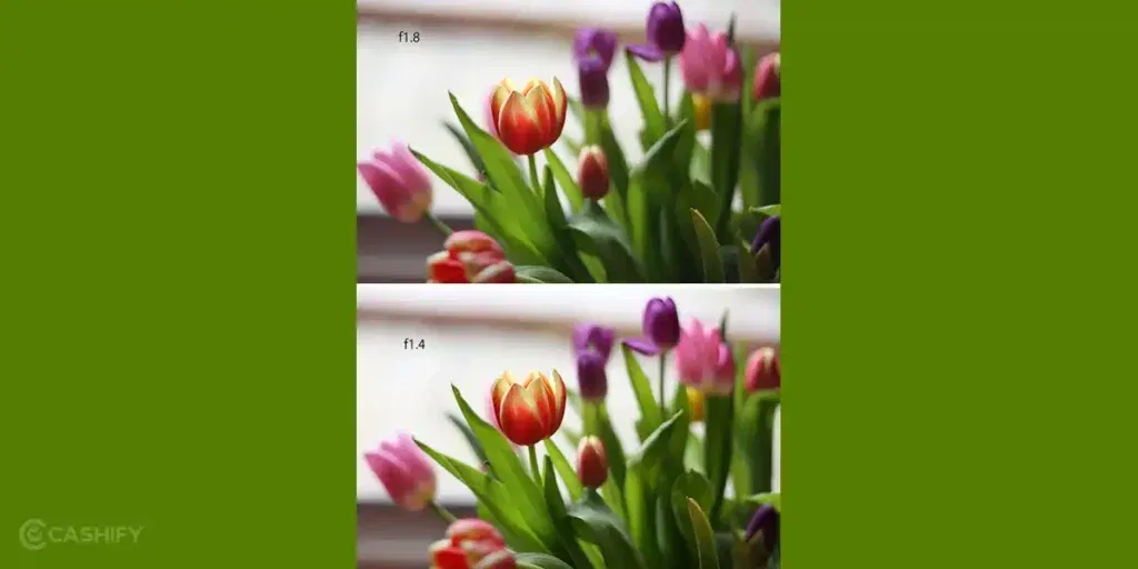 Image Quality