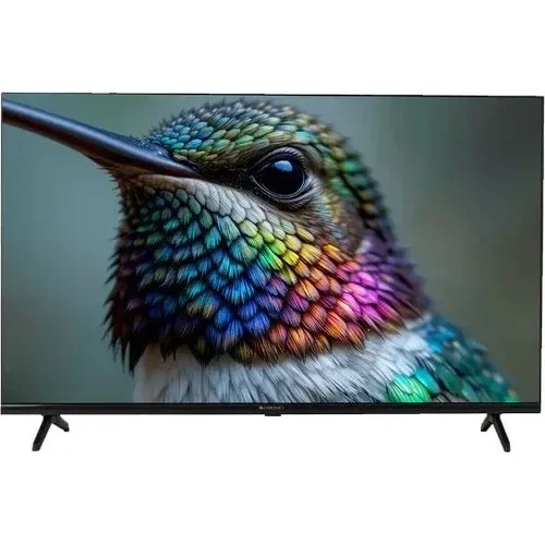 Zebronics ZEB-43G1 43 inch (109 cm) Full HD Smart LED Front