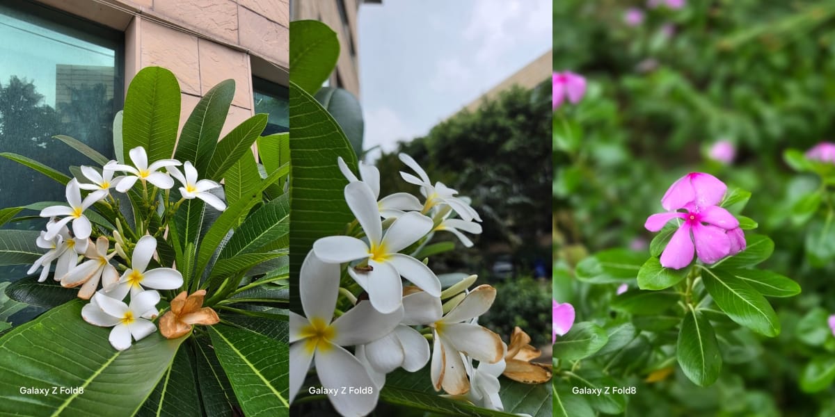 Samsung Galaxy Z Fold8 rear camera sample