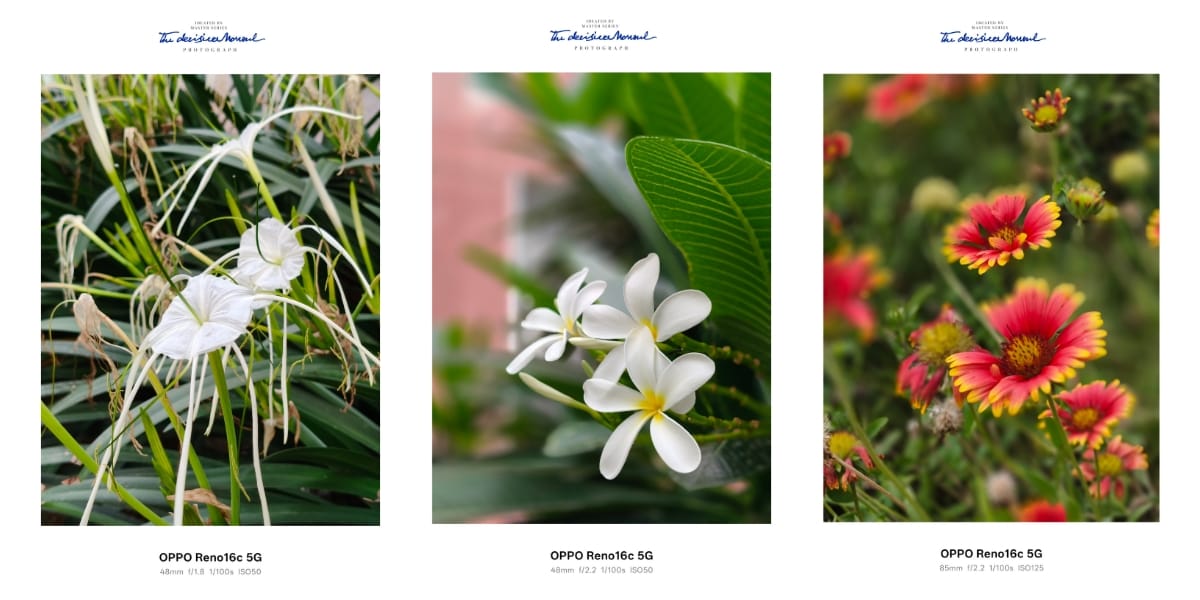 OPPO Reno 16c image sample