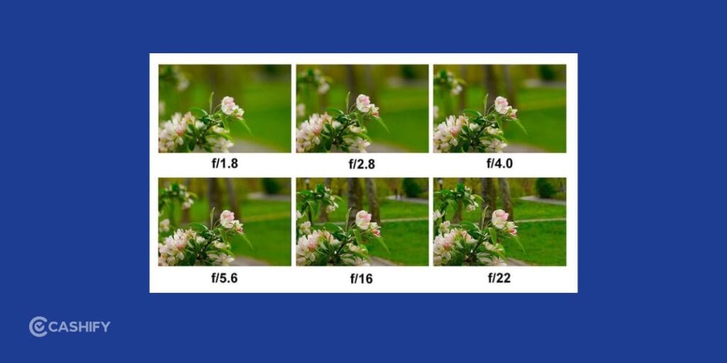 aperture for portraits
