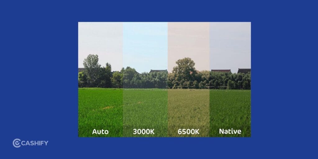 white balance camera settings
