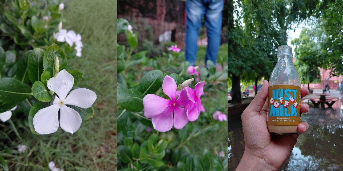 Samsung Galaxy A27 camera sample