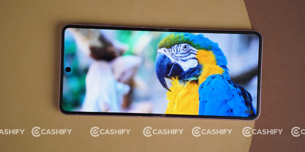 Samsung Galaxy Z Flip8 display