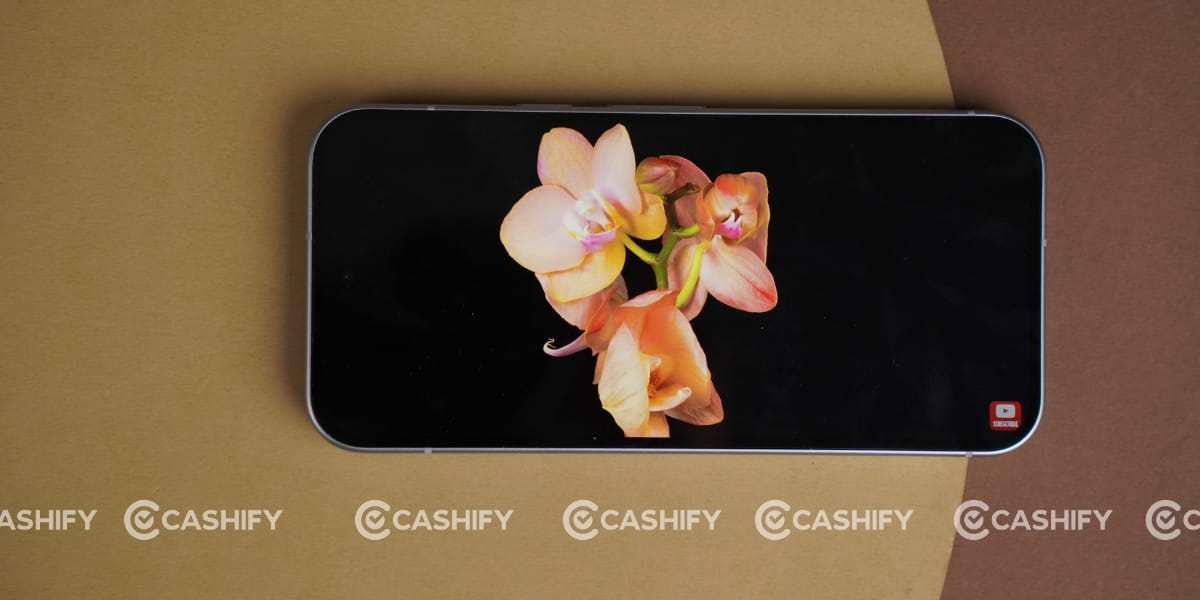 Google Pixel 11 display
