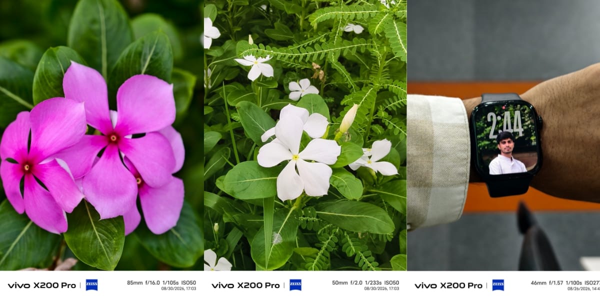 Vivo X200 Pro camera sample