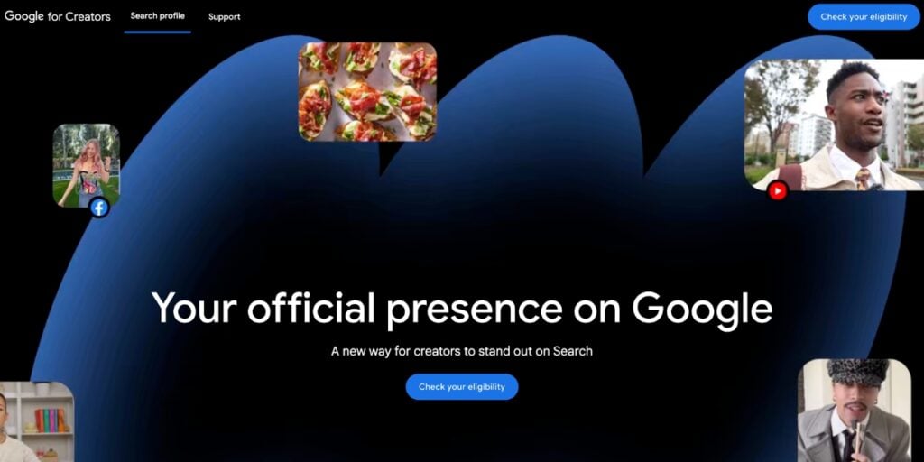 Google Search Profile