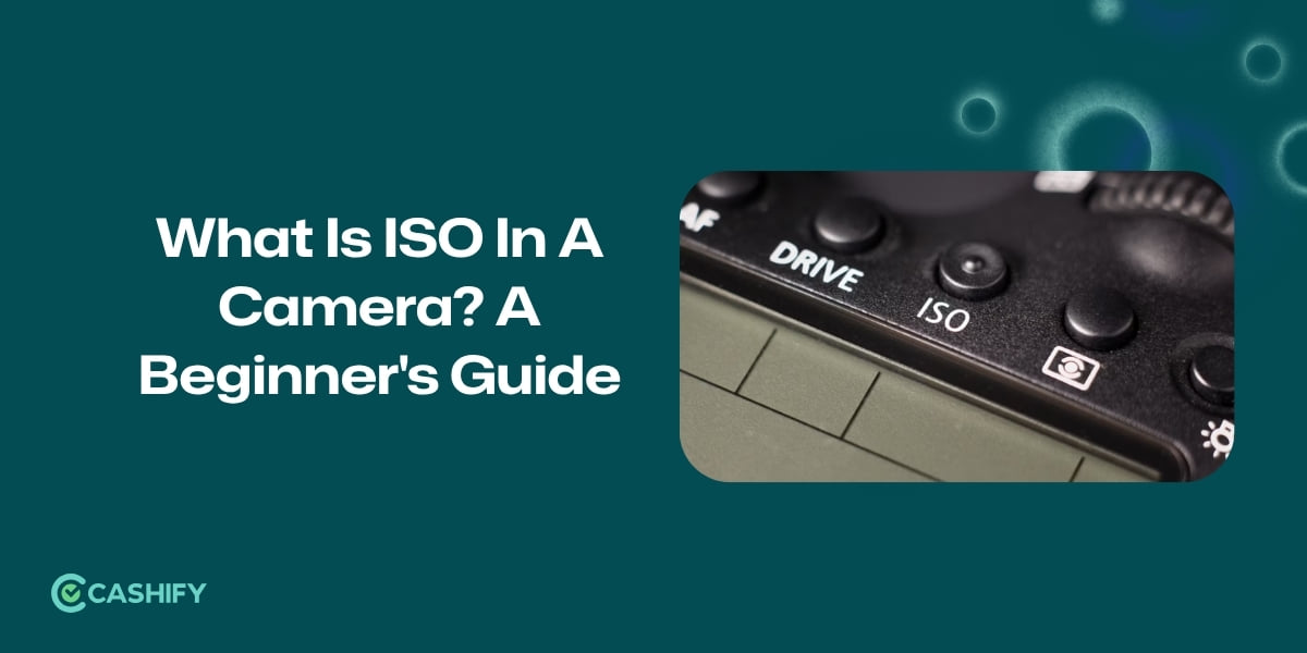 What Is ISO In A Camera? A Beginner’s Guide