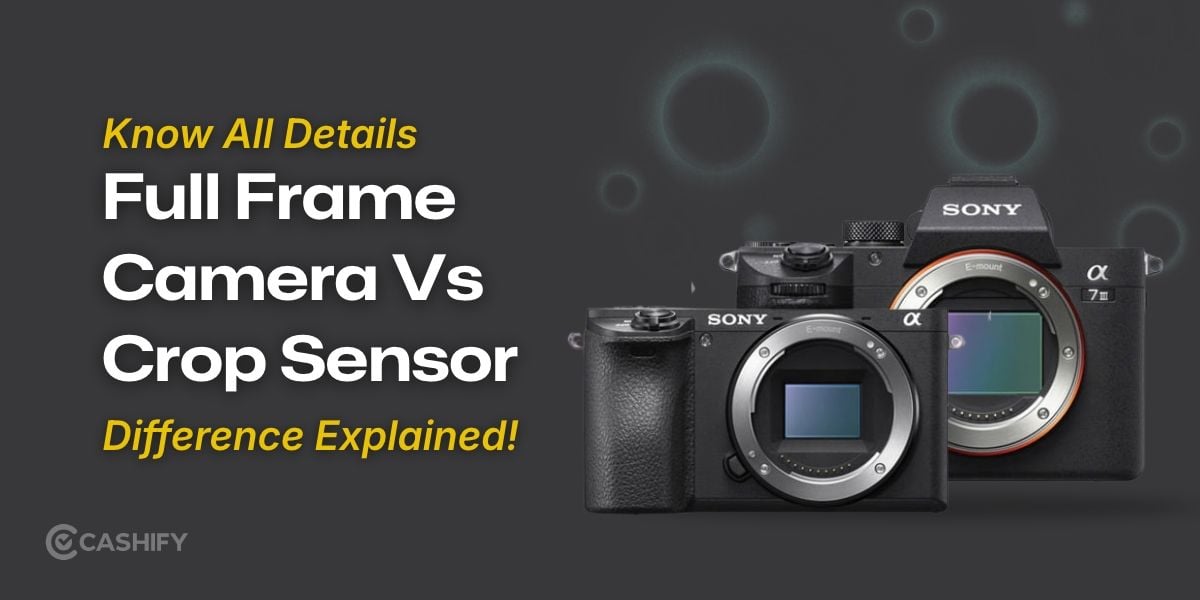 Full Frame Camera Vs Crop Sensor: Difference Explained!